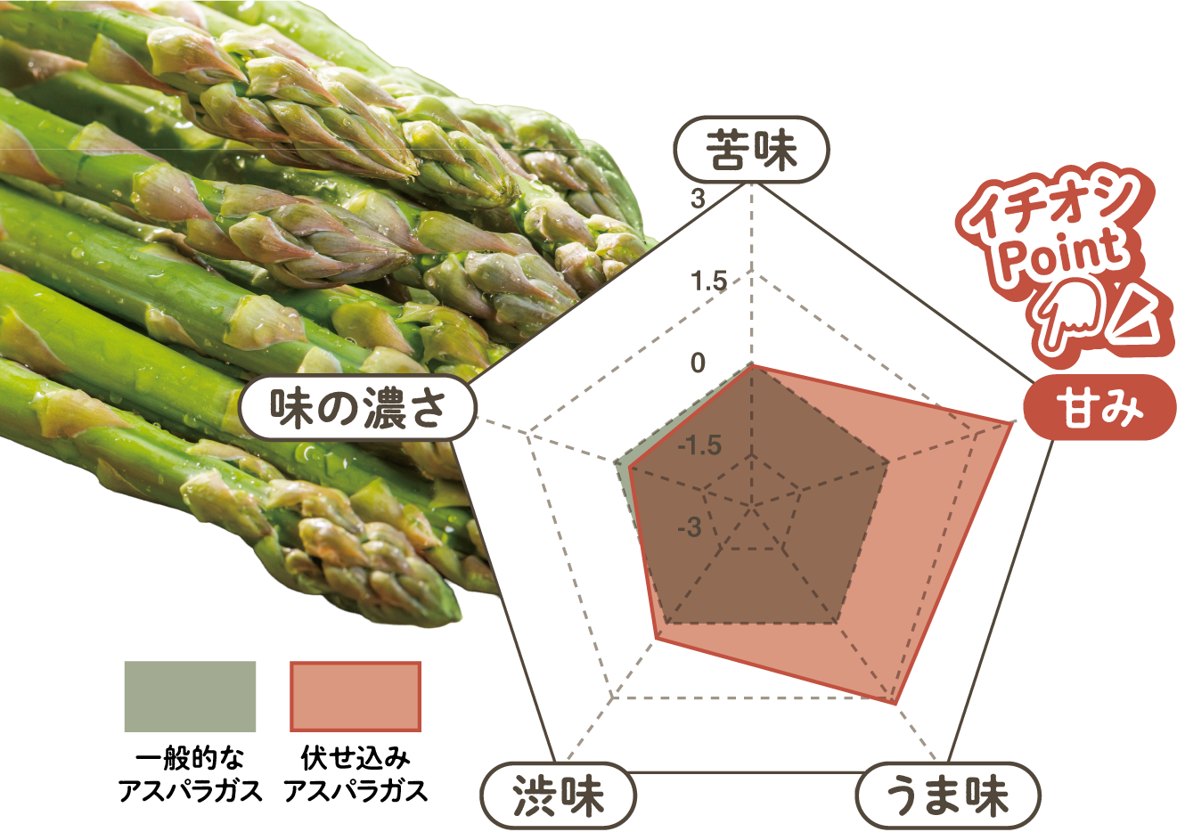 伏せ込みアスパラガスのバランス図