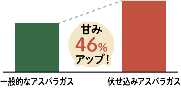 伏せ込みアスパラガスの棒グラフ