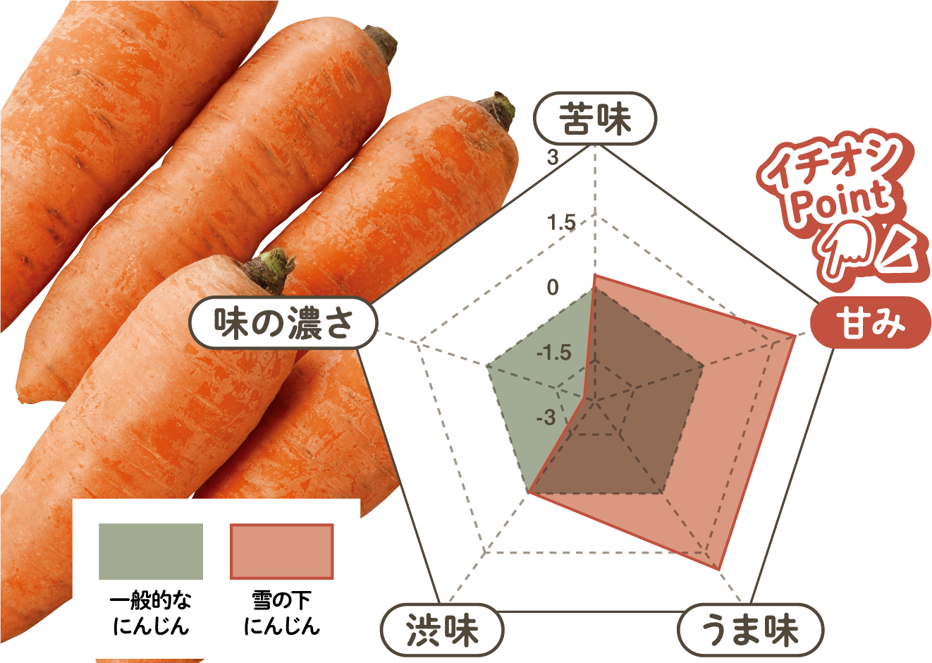 雪の下にんじんのバランス図