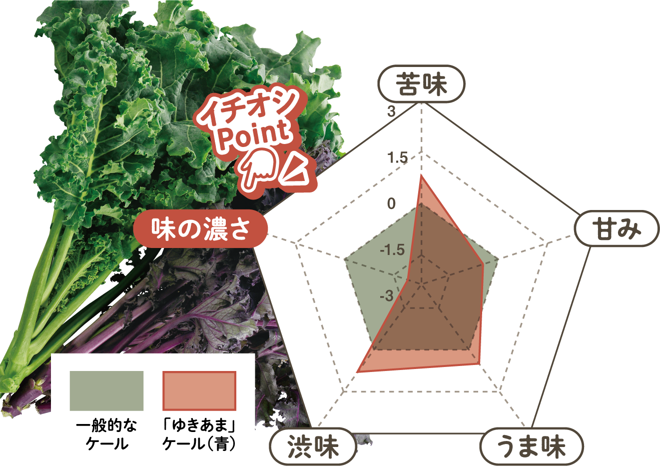 「ゆきあま」ケールのバランス図