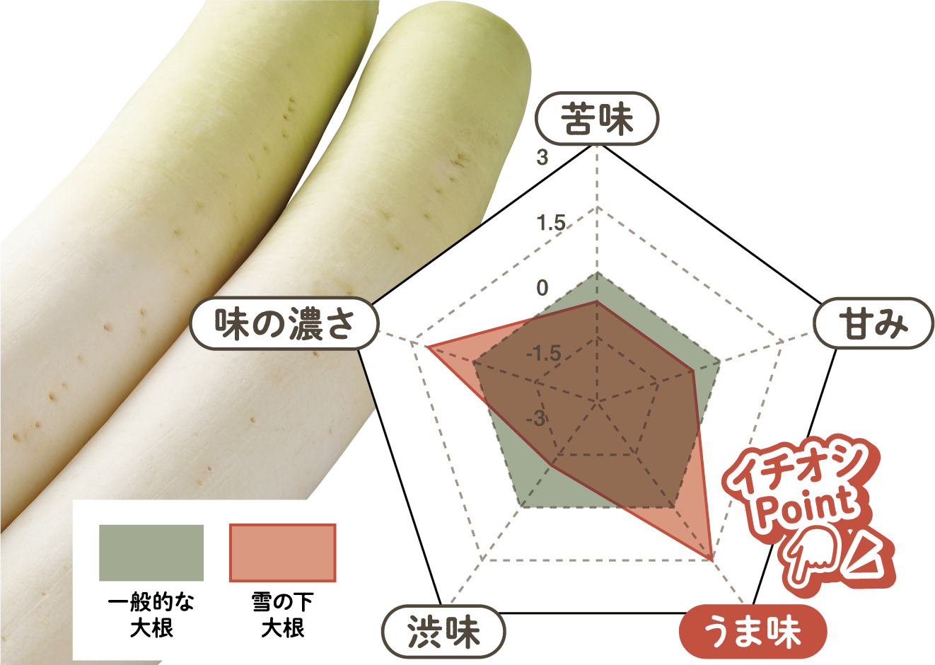 雪の下大根のバランス図