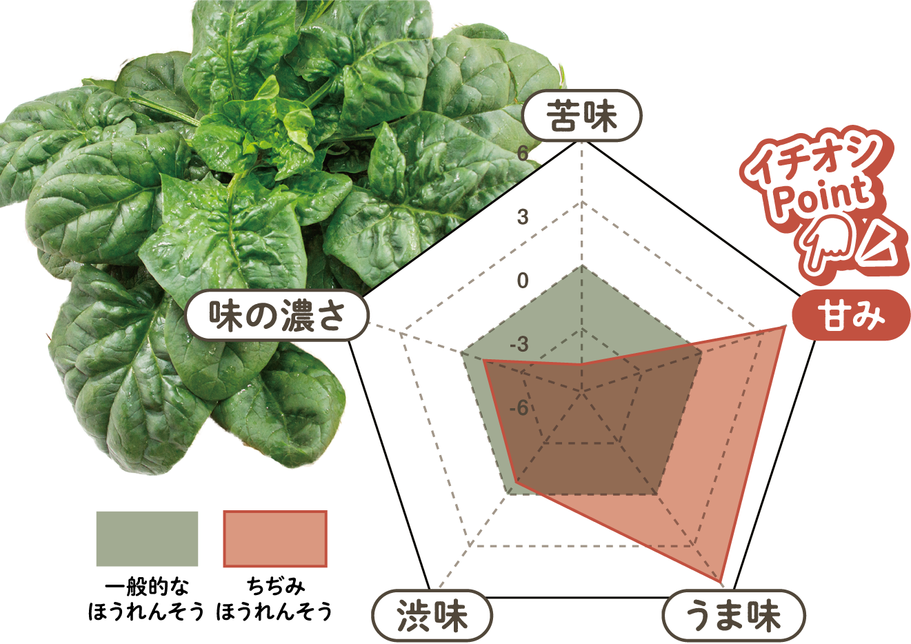 ちぢみほうれんそうのバランス図
