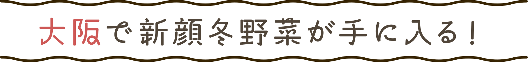 大阪で新顔冬野菜が手に入る！