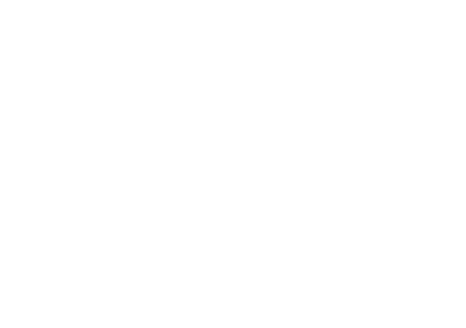 冬の畑のニュースター 北の新顔冬野菜