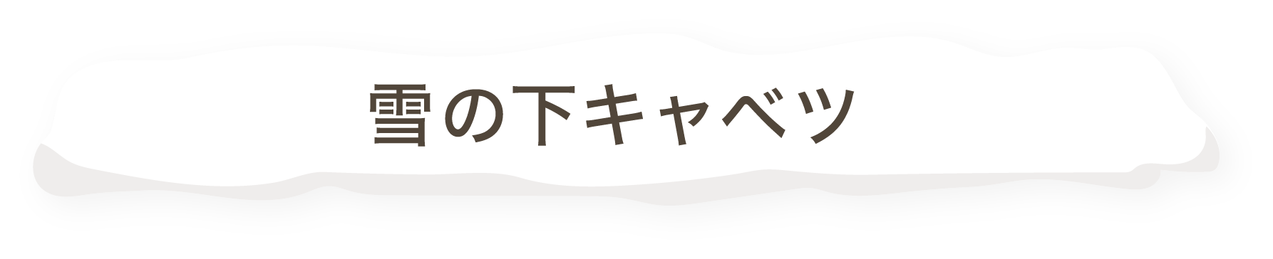 雪の下キャベツ