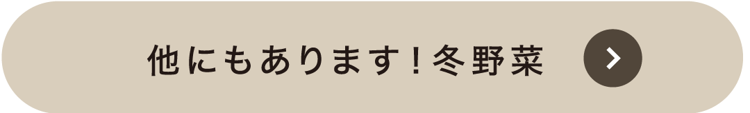 他にもあります！冬野菜