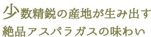 少数精鋭の産地が生み出す絶品アスパラガスの味わい