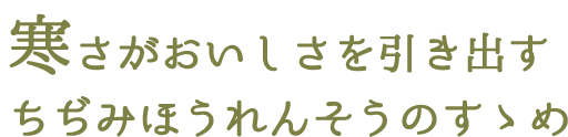 寒さがおいしさを引き出すちぢみほうれんそうのすゝめ